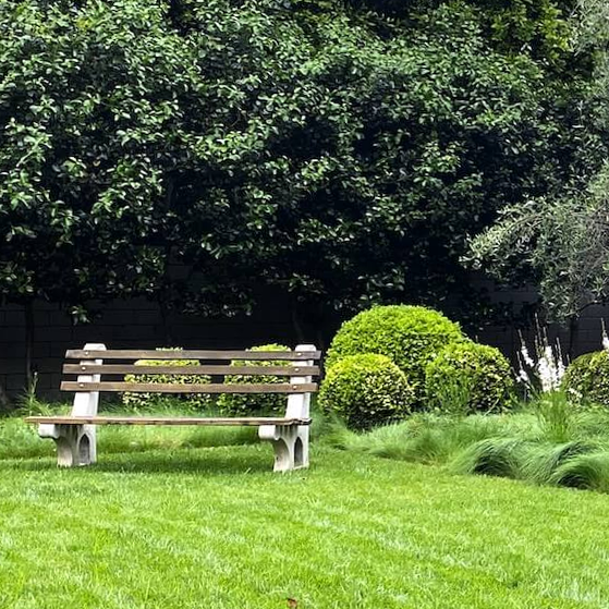 Wordpress website for landscaping business project thumbnail