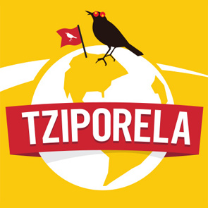 Informational landing page for international comedy performers project thumbnail